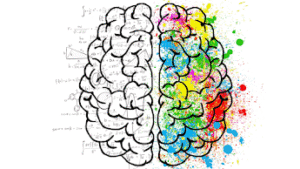 Como a Hipnose funciona na mente: Imagem de um cérebro dividido uma metade preenchida com números e cálculos e outra com cores e pintura